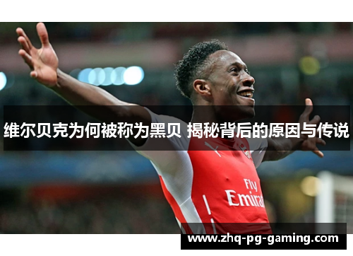 维尔贝克为何被称为黑贝 揭秘背后的原因与传说 维尔贝克为何被称为黑贝 揭秘背后的原因与传说