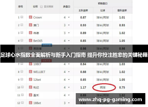 足球心水指数全面解析与新手入门指南 提升你投注胜率的关键秘籍 足球心水指数全面解析与新手入门指南 提升你投注胜率的关键秘籍