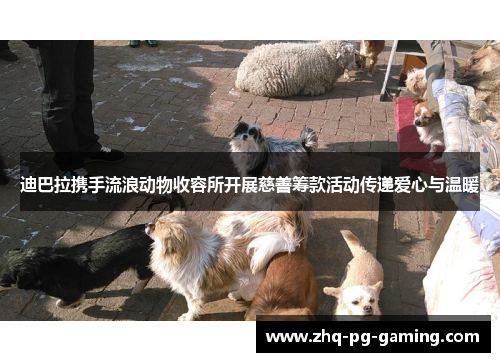 迪巴拉携手流浪动物收容所开展慈善筹款活动传递爱心与温暖