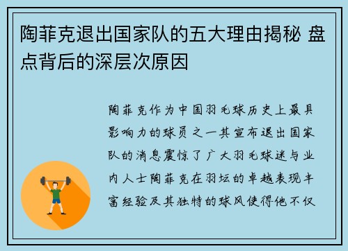 陶菲克退出国家队的五大理由揭秘 盘点背后的深层次原因
