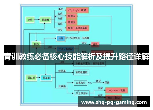 青训教练必备核心技能解析及提升路径详解