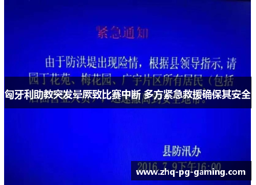匈牙利助教突发晕厥致比赛中断 多方紧急救援确保其安全