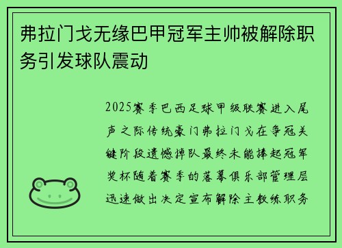 弗拉门戈无缘巴甲冠军主帅被解除职务引发球队震动